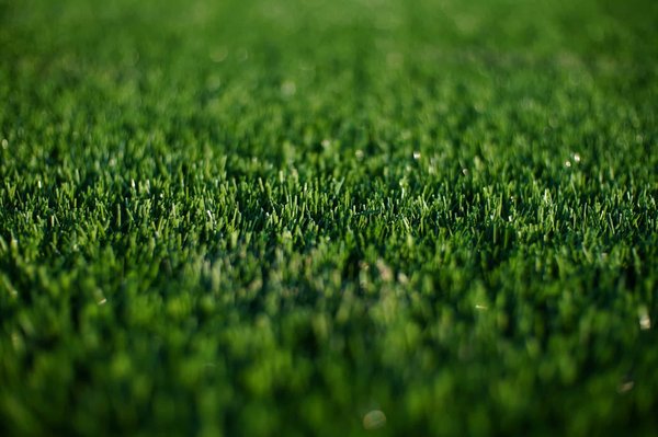 Gazon synthétique : comment bien choisir et installer ?