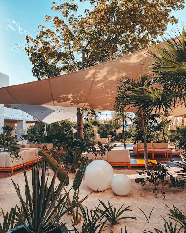 Voile d'ombrage en fibre de coco : Éco-responsable et élégante